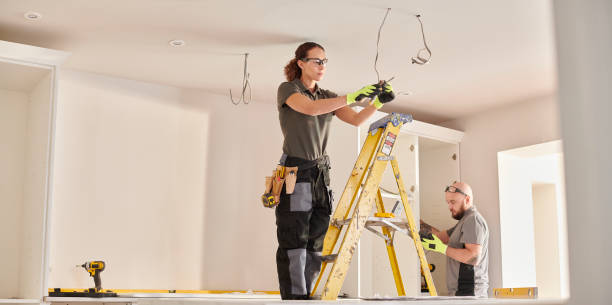 Best Electric Panel Repair  in New Johnsonville, TN